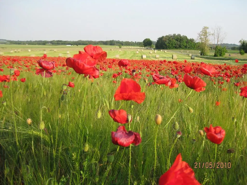 Farm stay Agriturismo Campagnoletto Cavriana Italy