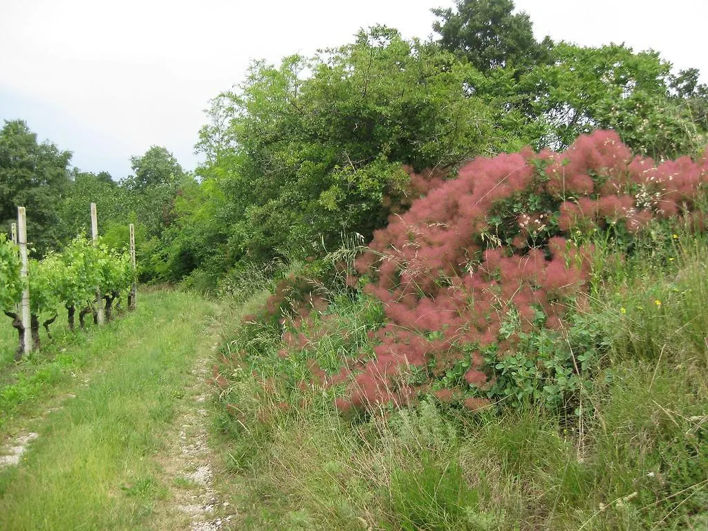 Agriturismo Campagnoletto Cavriana