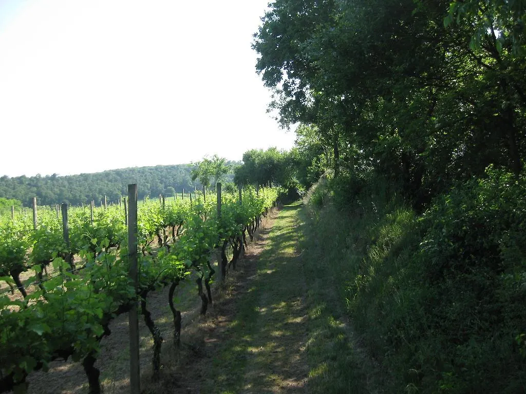 Agriturismo Campagnoletto Cavriana Bauernhof