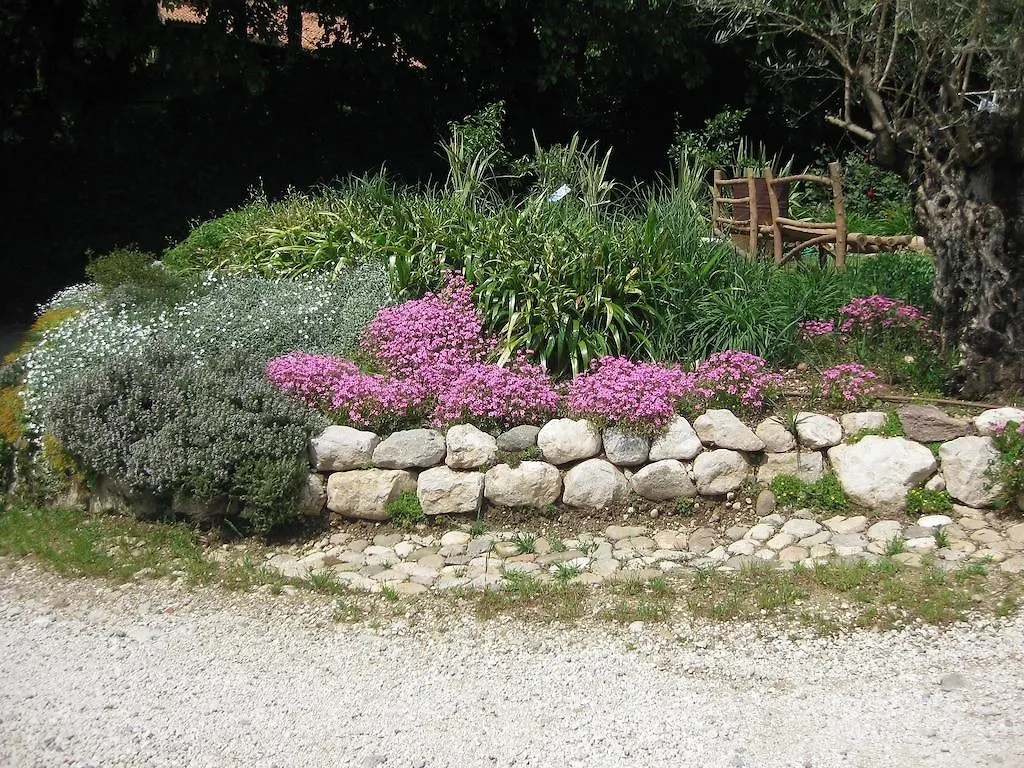 Agriturismo Campagnoletto Cavriana Farm stay