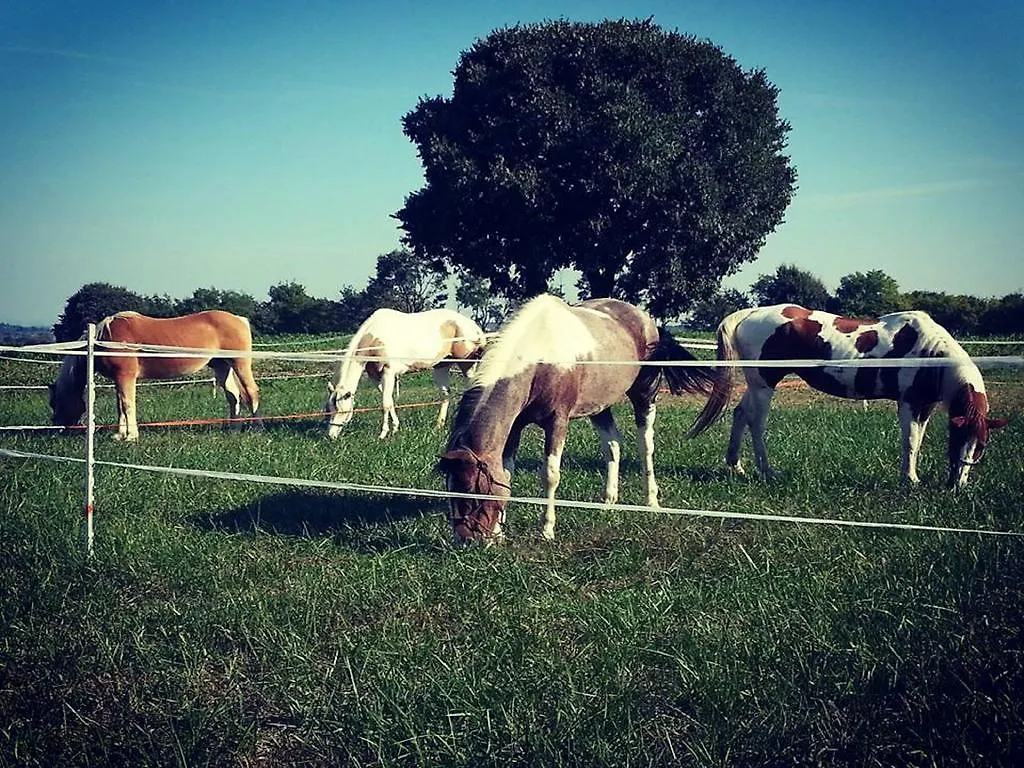 Agriturismo Campagnoletto Cavriana